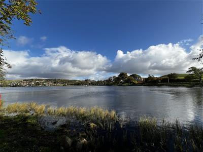 Picture 23